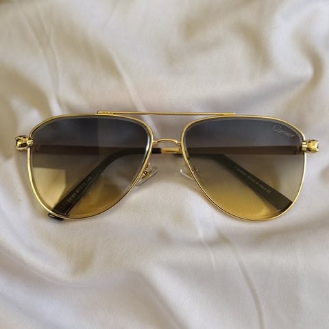 POLARIZED-55 GLASSES